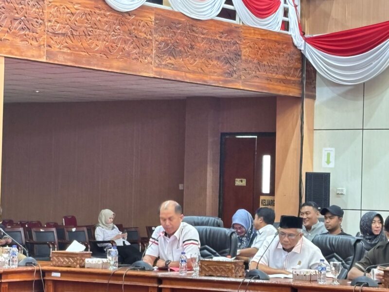 Sekretaris Fraksi PDI Perjuangan Joni Alla' Padang memberikan pandangan fraksinya terhadap P2APBD tahun anggaran 2025. (Bentangkaltim.com/asr)