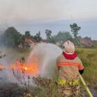 Petugas Damkar Bontang saat memadamkan kebakaran hutan di Bonles beberapa waktu lalu. (PPID Damkar Bontang)