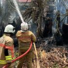 Petugas damkar saat memadamkan kebakaran lahan. (PPID Disdamkartan Bontang)