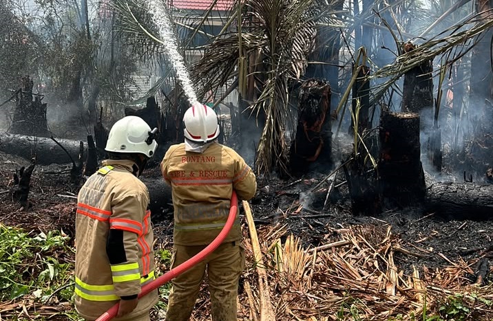 Petugas damkar saat memadamkan kebakaran lahan. (PPID Disdamkartan Bontang)