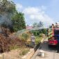 Proses petugas damkar memadamkan kebakaran lahan. (PPID Damkar Bontang)