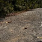 Kondisi Jalan Soekarno-Hatta mengalami kerusakan dan membutuhkan segera perbaikan. (Bentangkaltim.com/asr)